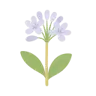 Brittany illustration