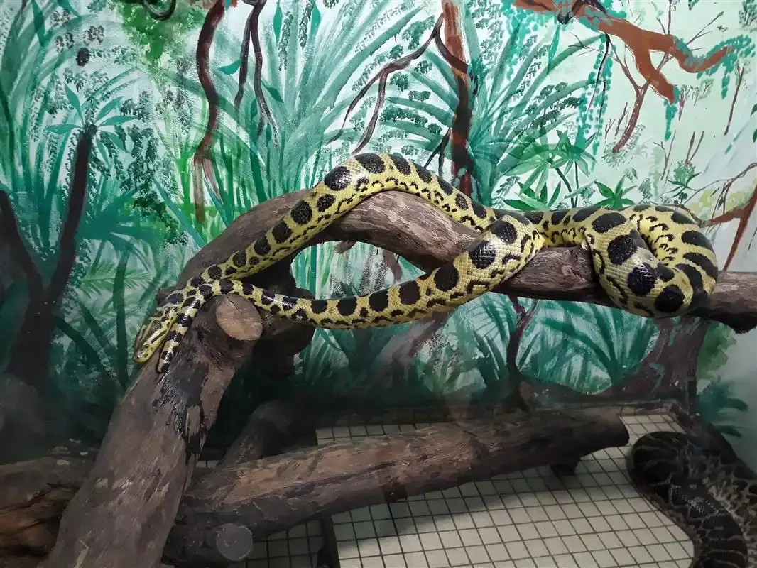 Terrario y Vivario de Kerdanet