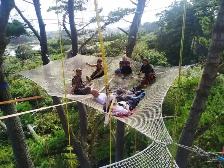 Utopiarbre