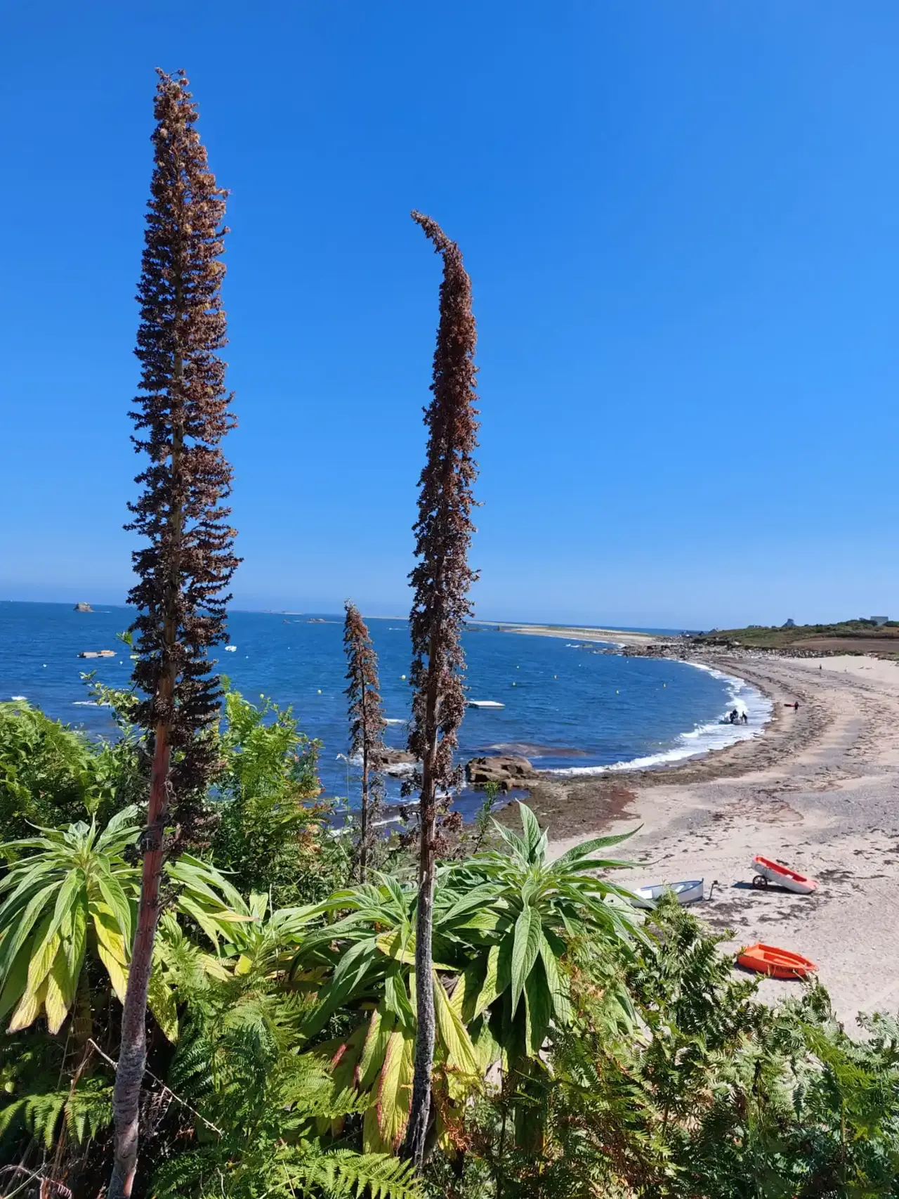 Pleubian landscape