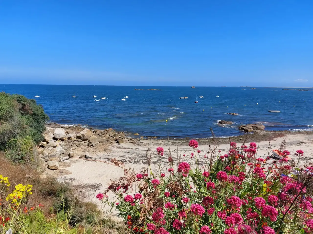 Pleubian landscape
