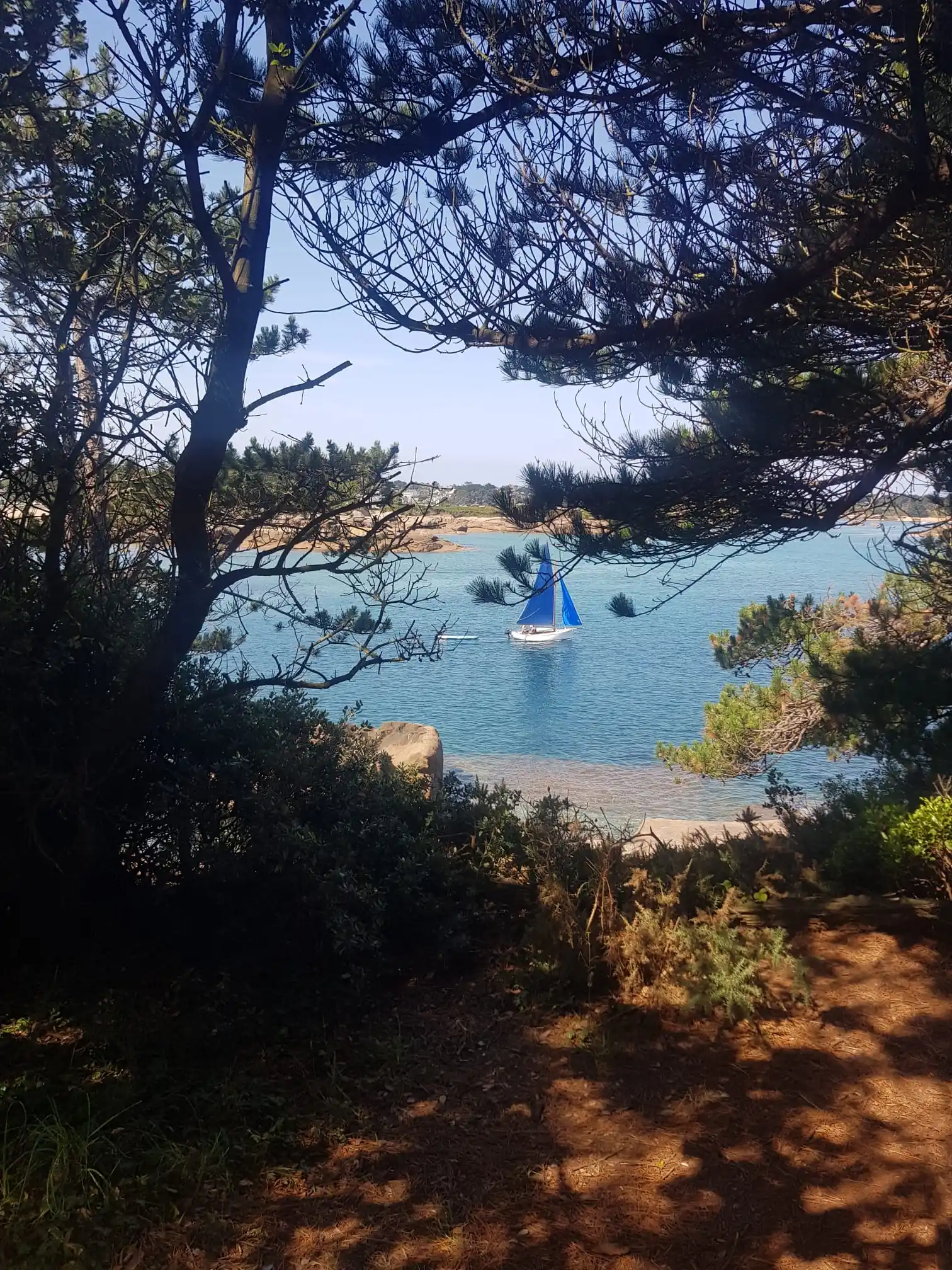 paisaje de Ploumanach